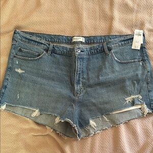 Denim Distressed Women's Shorts